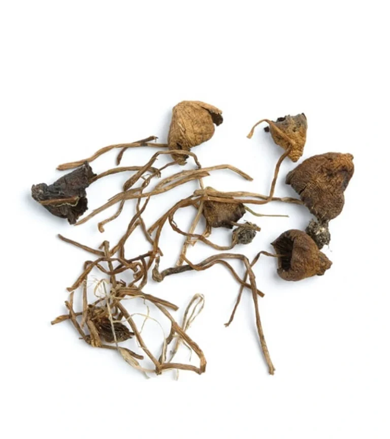 Liberty Cap Magic Mushrooms (Dried Psilocybe Semilanceata)