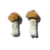 Hero Magic Mushrooms (Dried Psilocybe Cubensis)