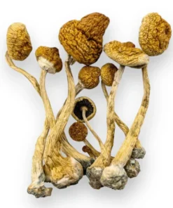 Alacabenzi
